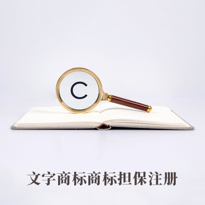 番禺區(qū)文字商標(biāo)擔(dān)保注冊(cè)